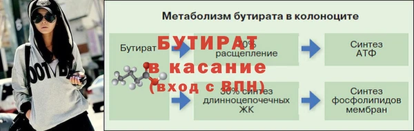 сатива Дмитровск