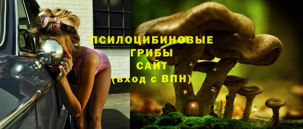 метамфетамин Алексеевка