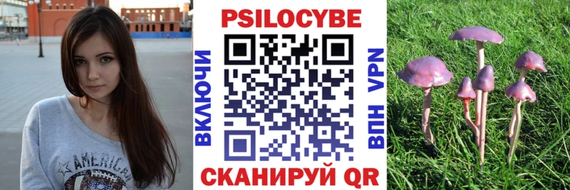 блэк спрут как войти  Сенгилей  Галлюциногенные грибы мицелий 
