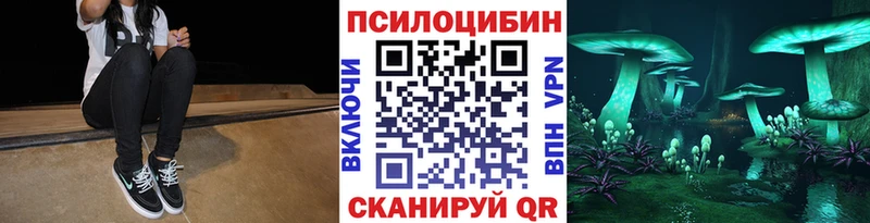 Галлюциногенные грибы Psilocybe Сенгилей